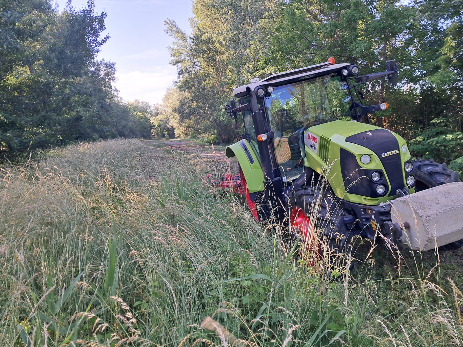 Objektservice Schall Grünpflege 9